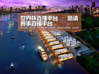 案例展示八