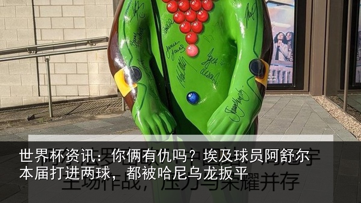 世界杯资讯：你俩有仇吗？埃及球员阿舒尔本届打进两球，都被哈尼乌龙扳平
