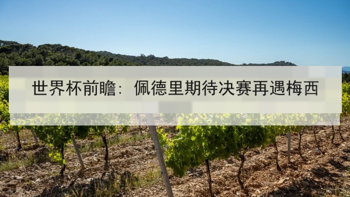 世界杯前瞻: 佩德里期待决赛再遇梅西