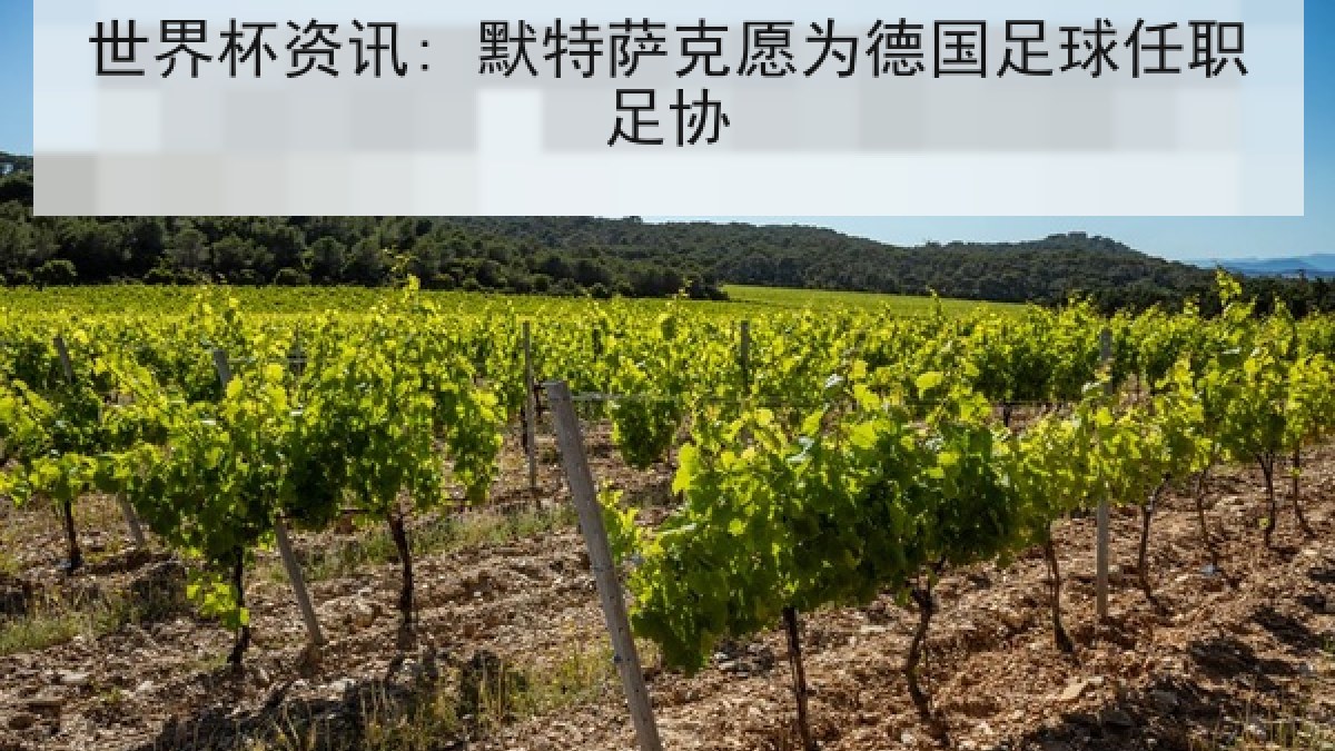 世界杯资讯: 默特萨克愿为德国足球任职足协