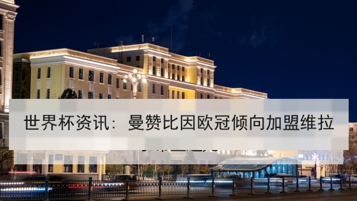 世界杯资讯: 曼赞比因欧冠倾向加盟维拉