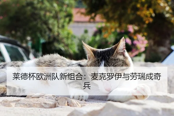莱德杯欧洲队新组合：麦克罗伊与劳瑞成奇兵
