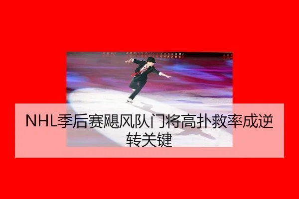 NHL季后赛飓风队门将高扑救率成逆转关键