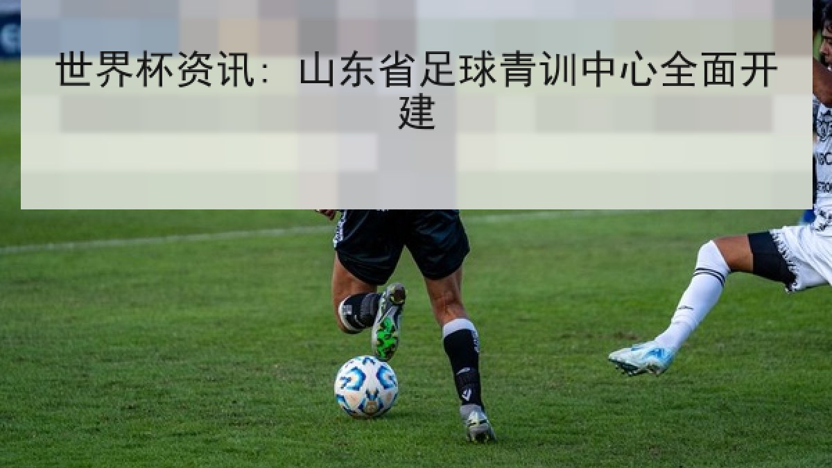 世界杯资讯: 山东省足球青训中心全面开建