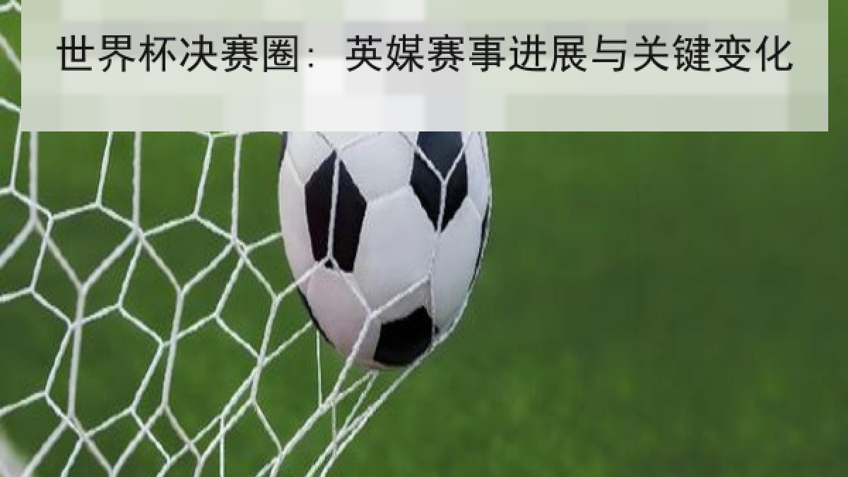 世界杯决赛圈: 英媒赛事进展与关键变化