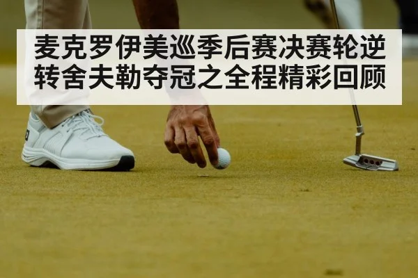 麦克罗伊美巡季后赛决赛轮逆转舍夫勒夺冠之全程精彩回顾
