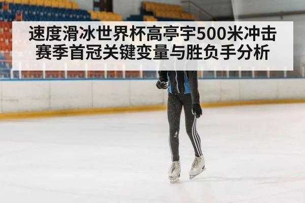 速度滑冰世界杯高亭宇500米冲击赛季首冠关键变量与胜负手分析